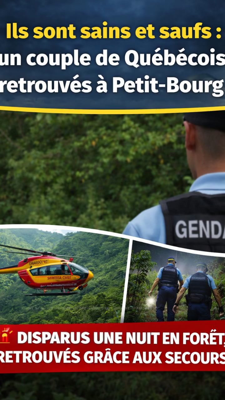 Randonneurs perdus : Une nuit de survie en montagne