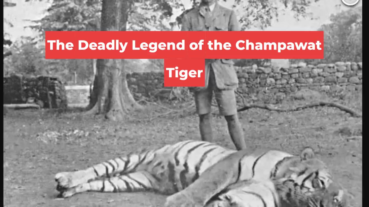 The Deadly Legend of the Champawat Tiger