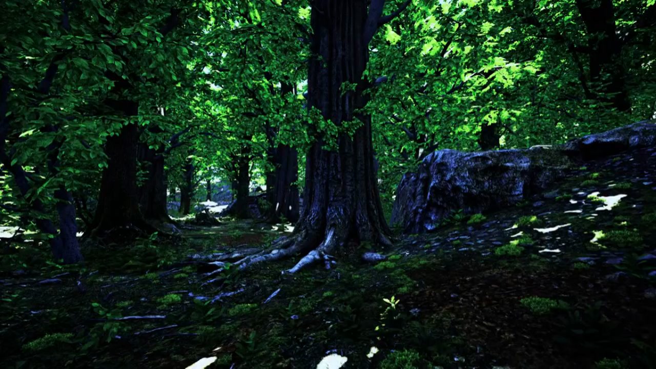 Découvrez le Moringa : L'Arbre Miracle Ignoré !