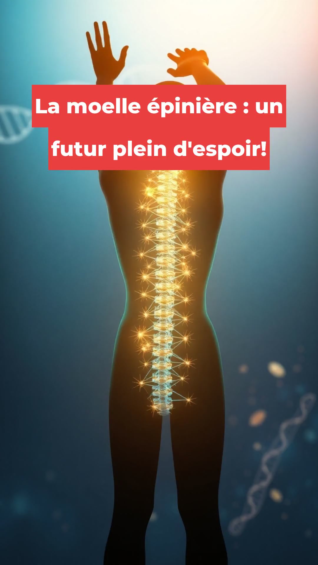 La moelle épinière : un futur plein d'espoir!