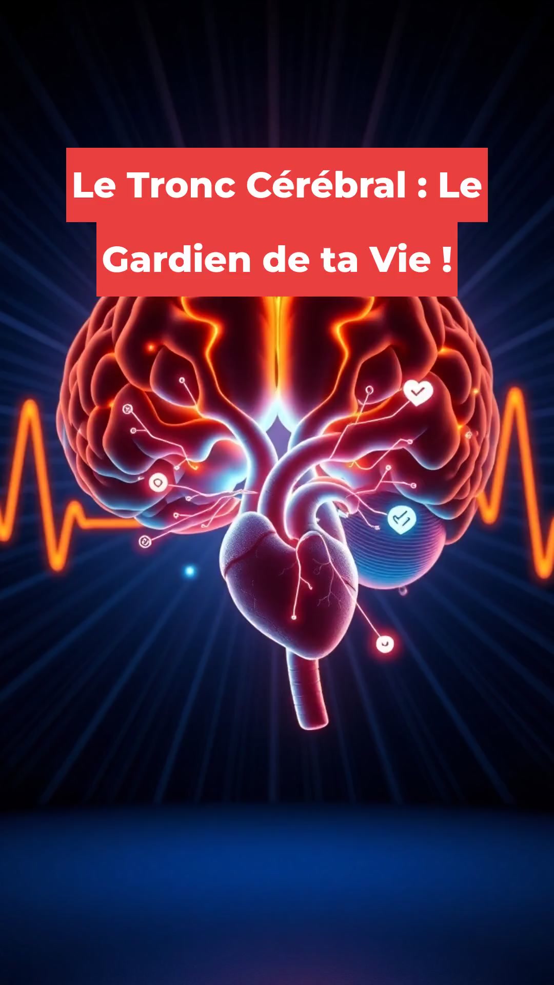 Le Tronc Cérébral : Le Gardien de ta Vie !