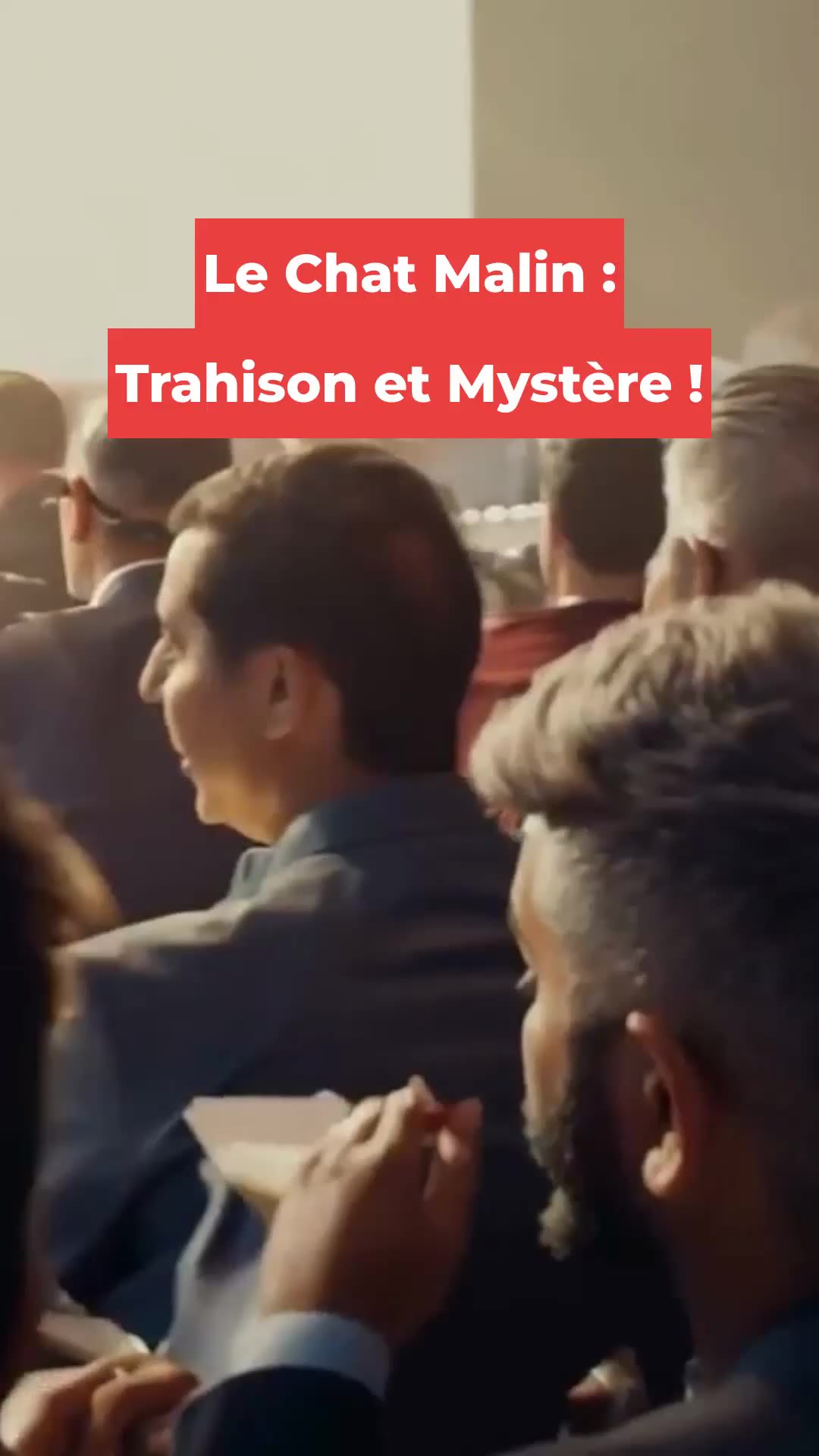 Le Chat Malin : Trahison et Mystère !