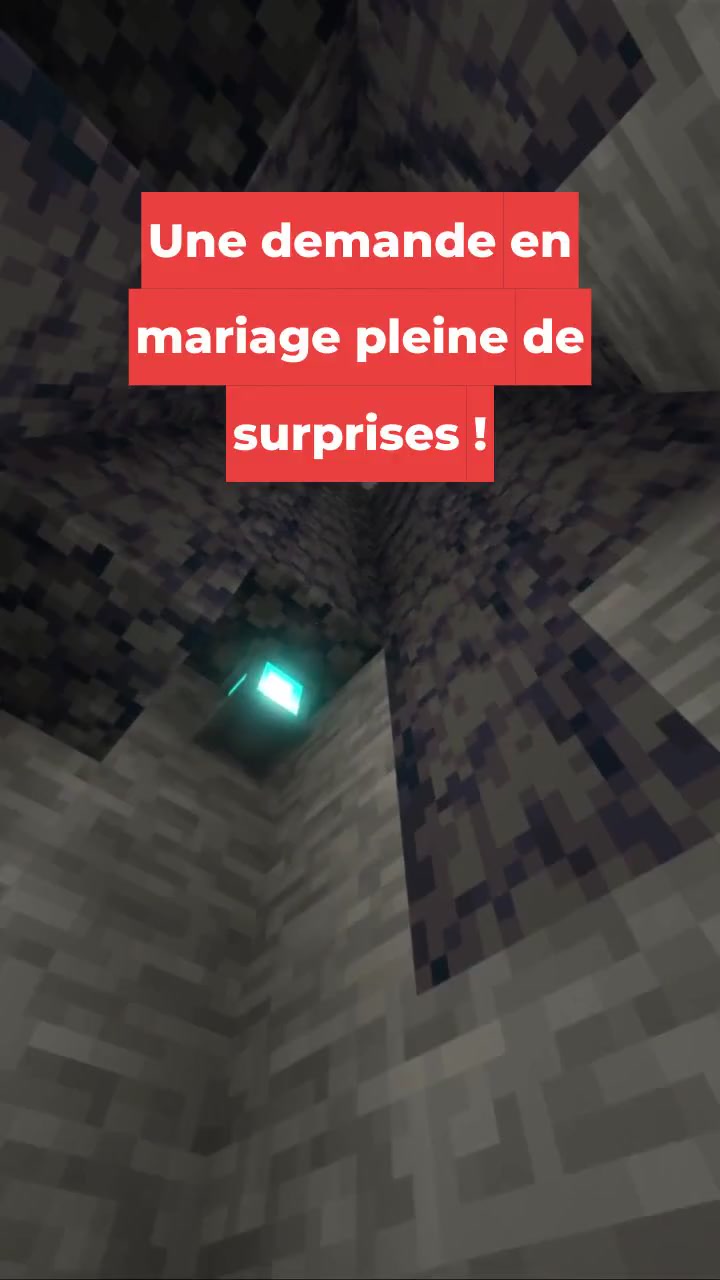 Une demande en mariage pleine de surprises !