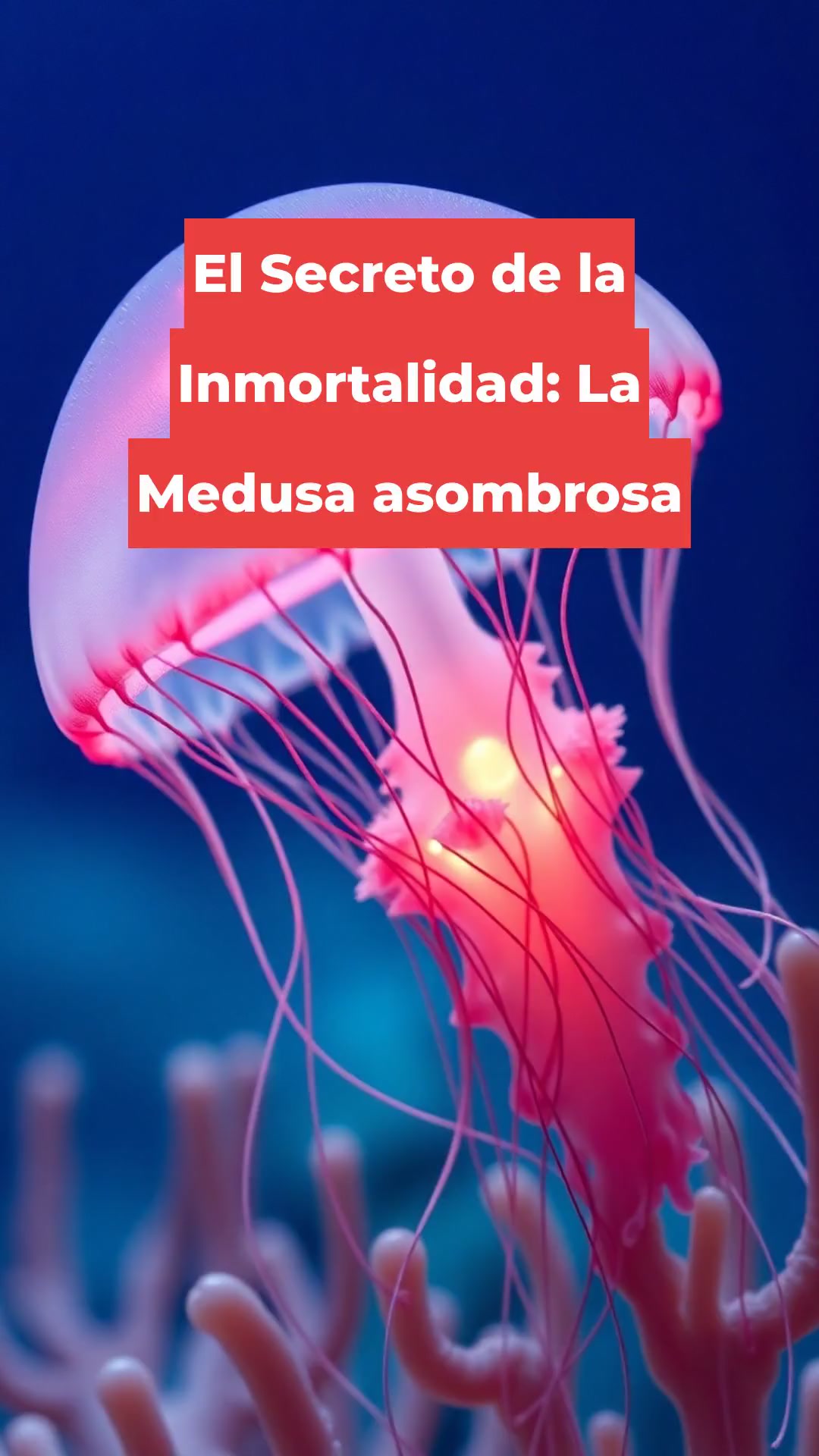 El Secreto de la Inmortalidad: La Medusa asombrosa