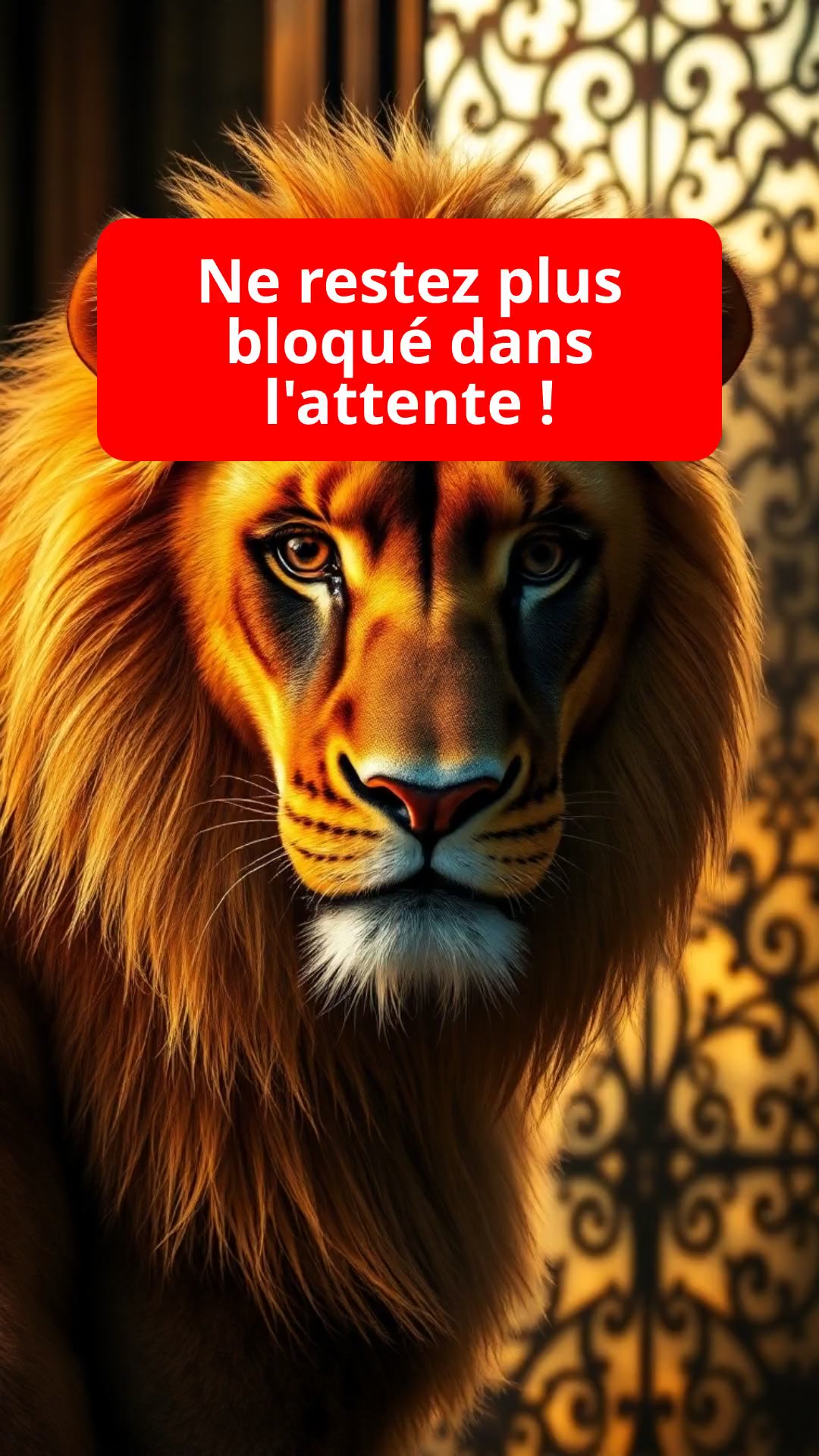 Ne restez plus bloqué dans l'attente !