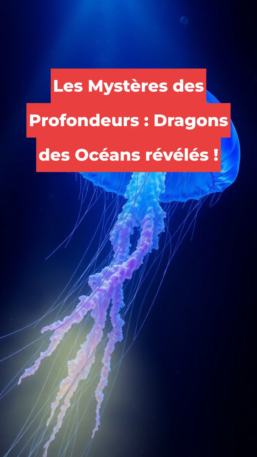 Les Mystères des Profondeurs : Dragons des Océans révélés !