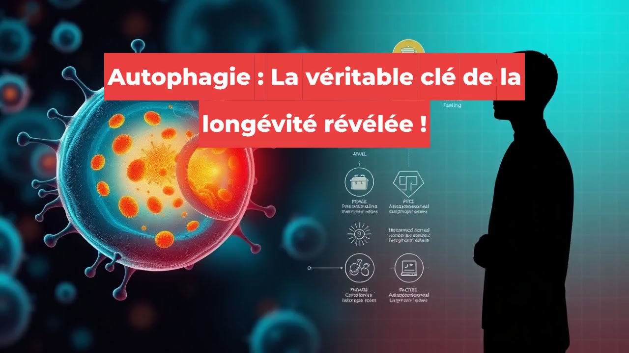 Autophagie : La véritable clé de la longévité révélée !