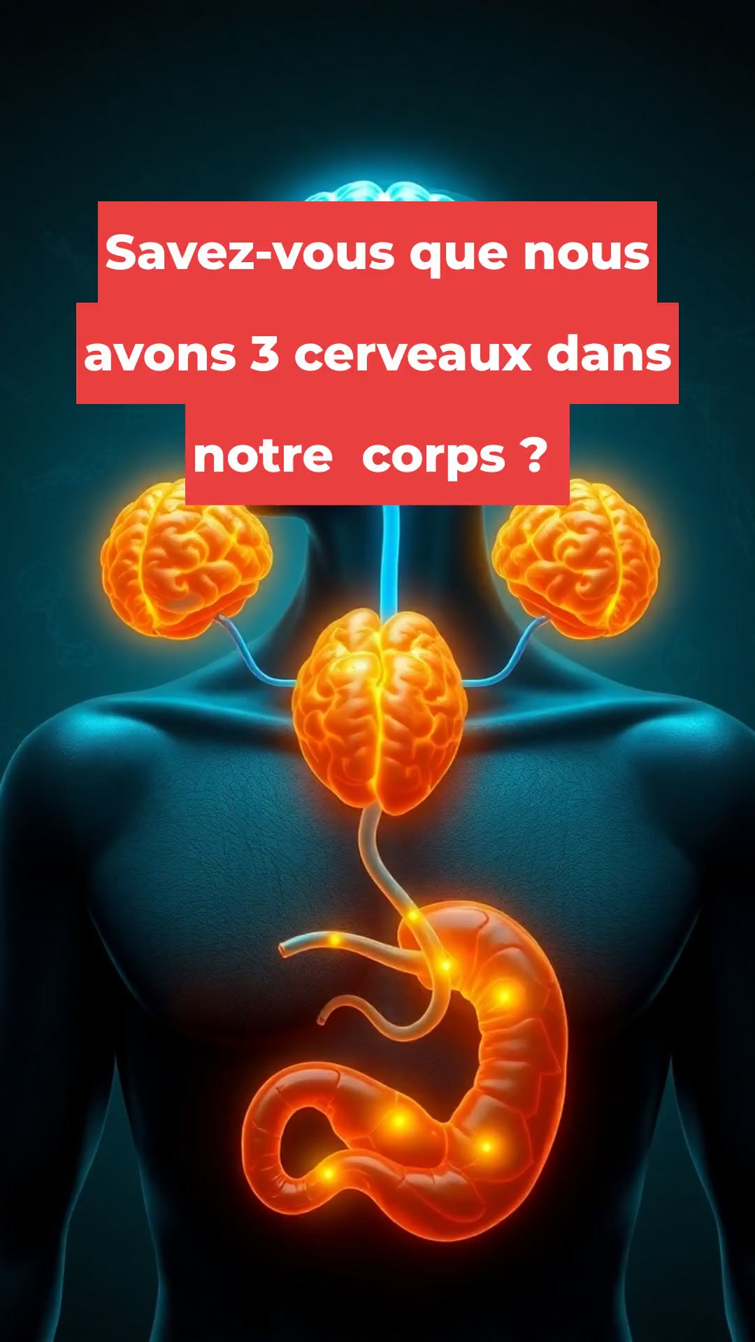 Découvrez vos 3 cerveaux : une révélation fascinante !