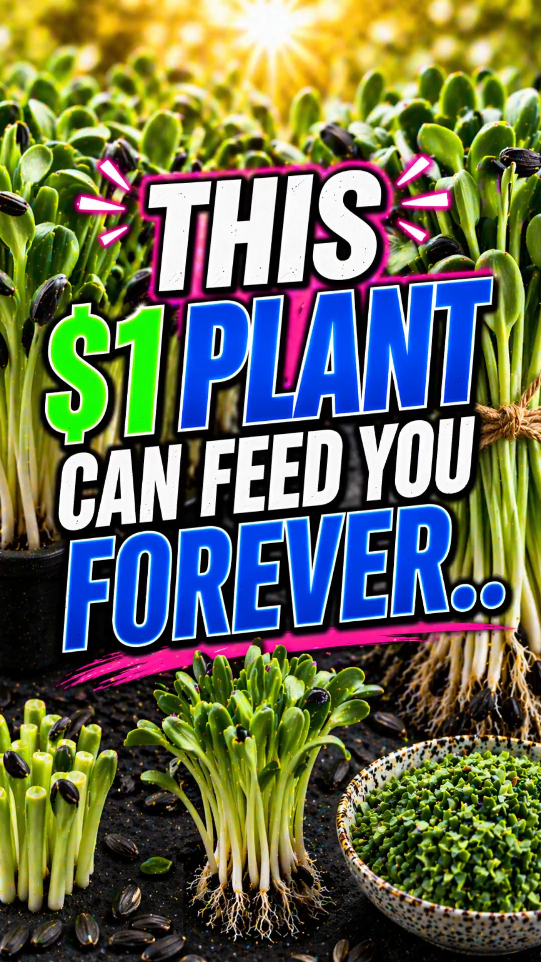 This $1 Plant 🌱Can Feed You Forever…