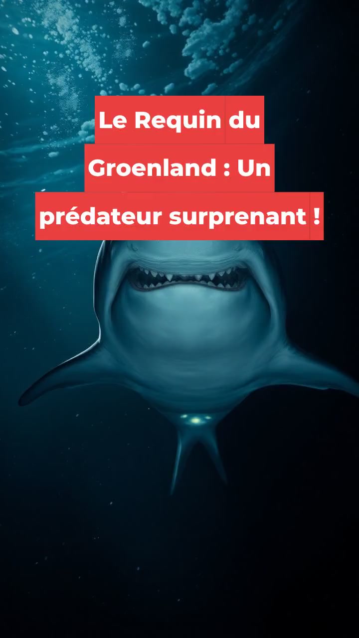 Le Requin du Groenland : Un prédateur surprenant !