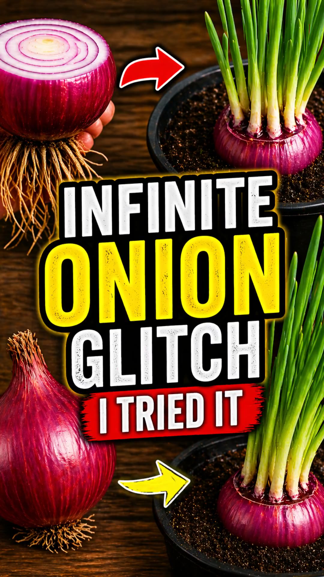Infinite Onion Glitch 🧅…Watch This