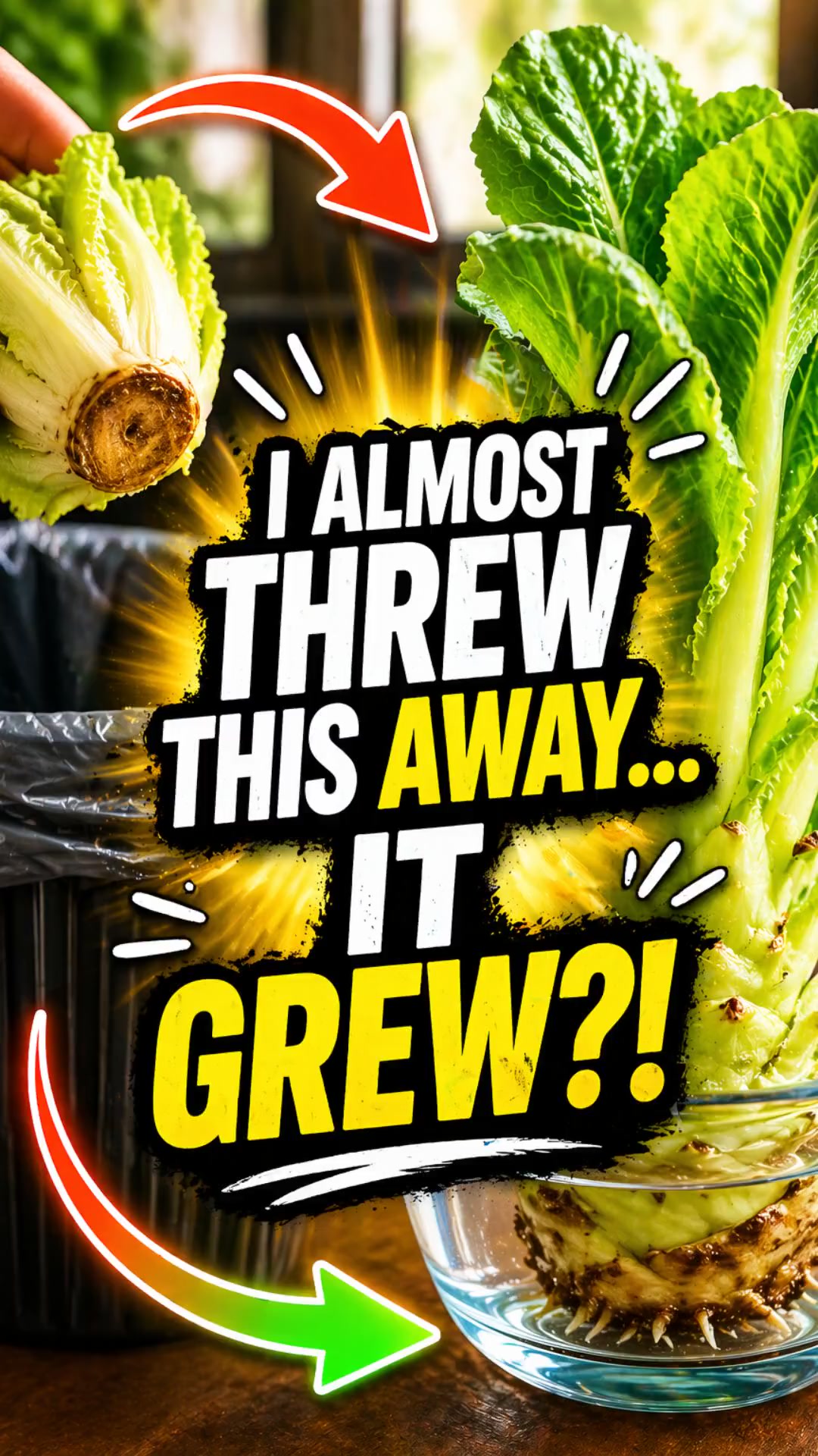 I Almost Threw This Away… Then It Grew 🥬