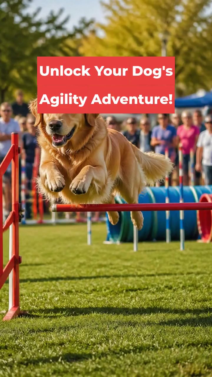 Unlock Your Dog's Agility Adventure!