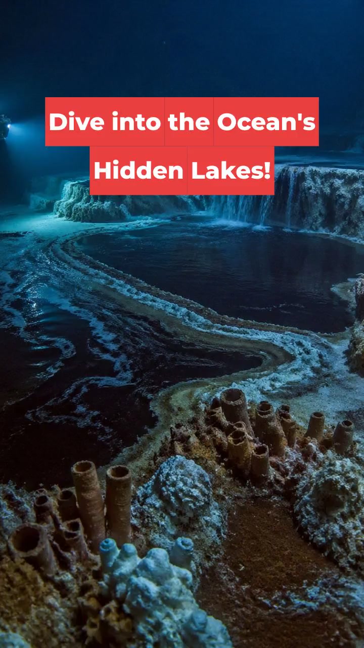 Dive into the Ocean's Hidden Lakes!