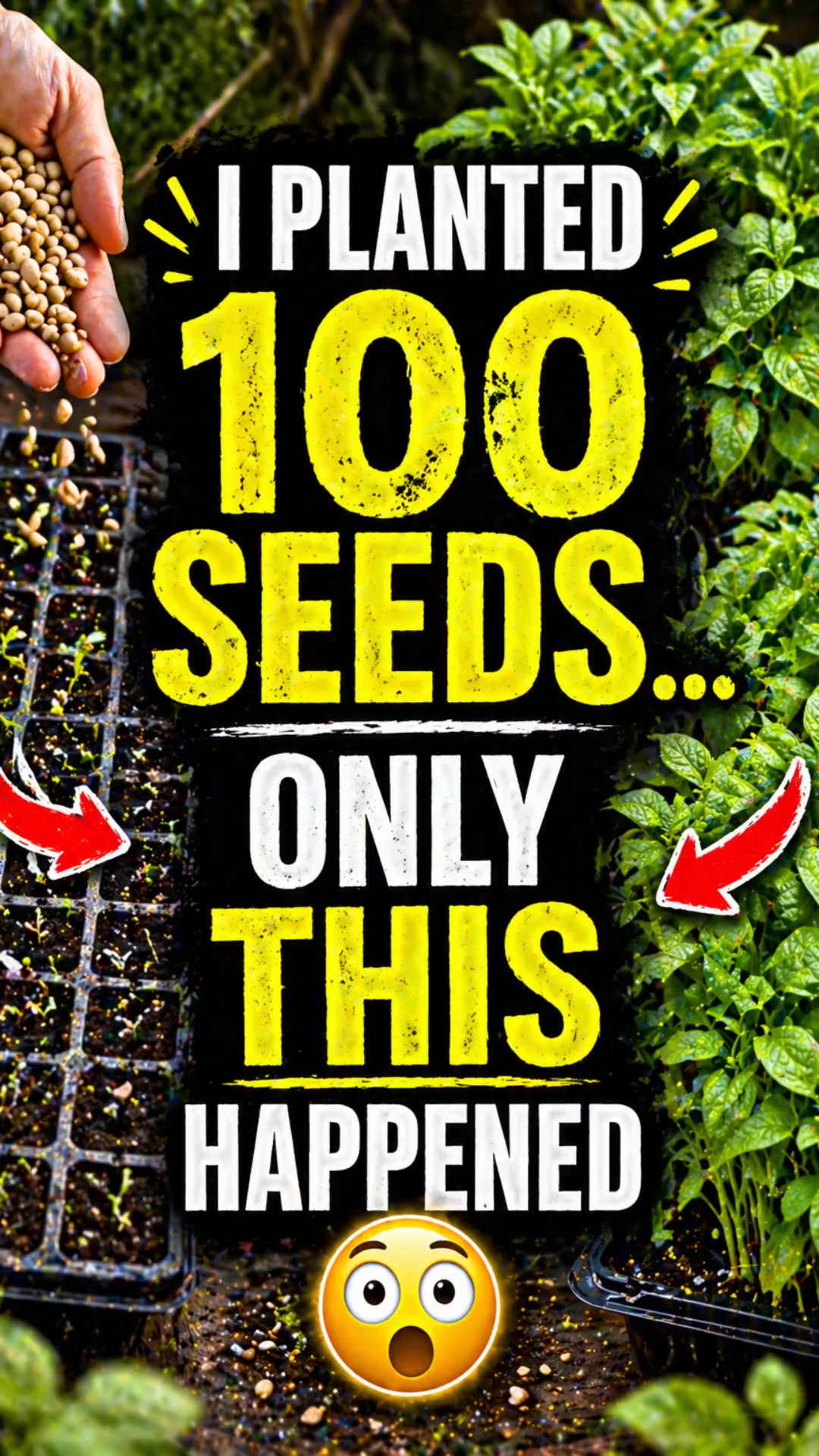 I Planted 100 Seeds… Only THIS Happened 😳🌱