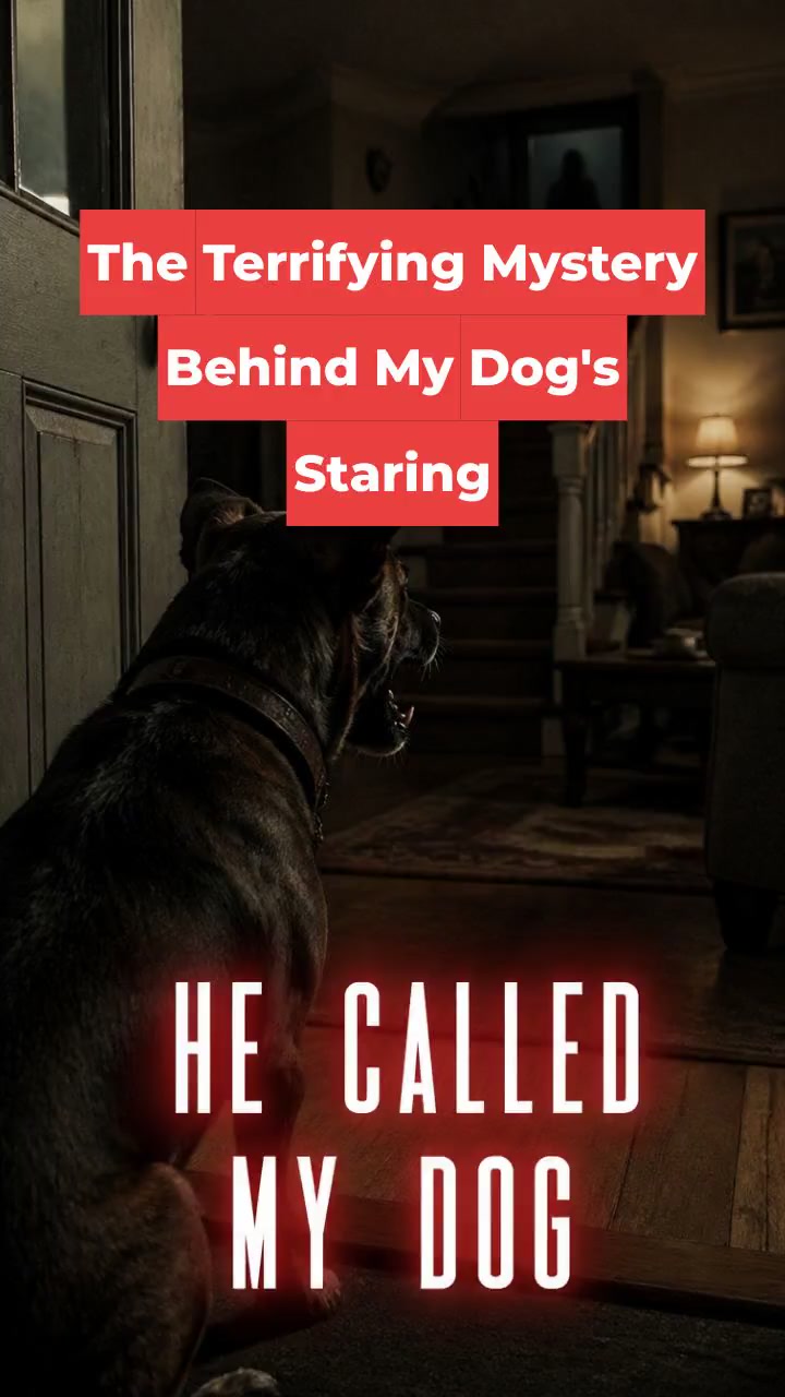 The Terrifying Mystery Behind My Dog's Staring