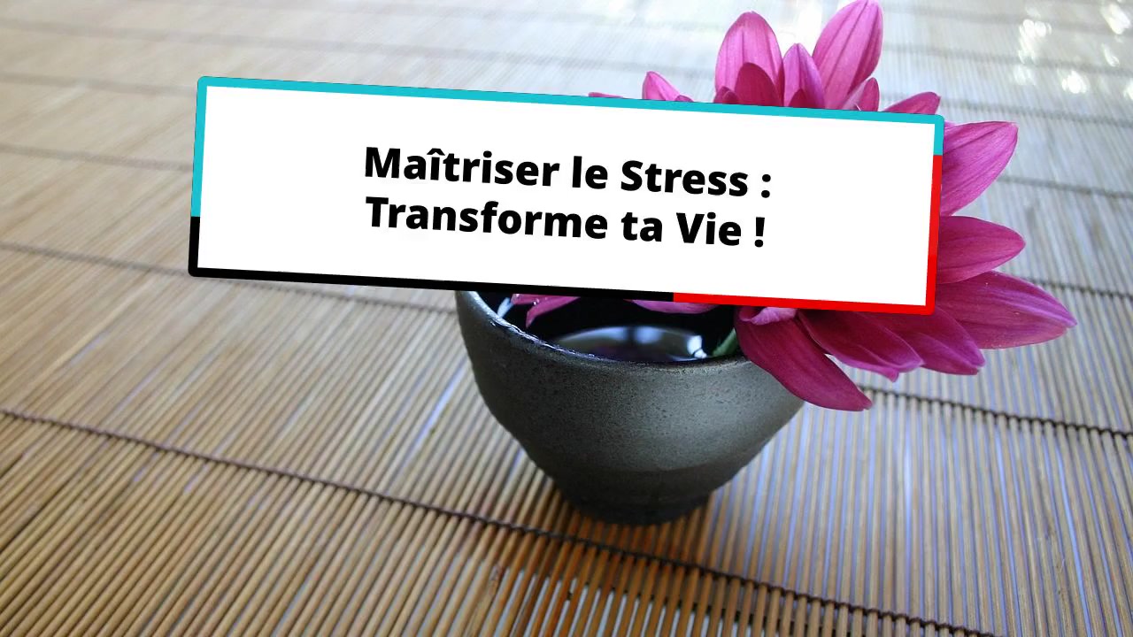 Maîtriser le Stress : Transforme ta Vie !