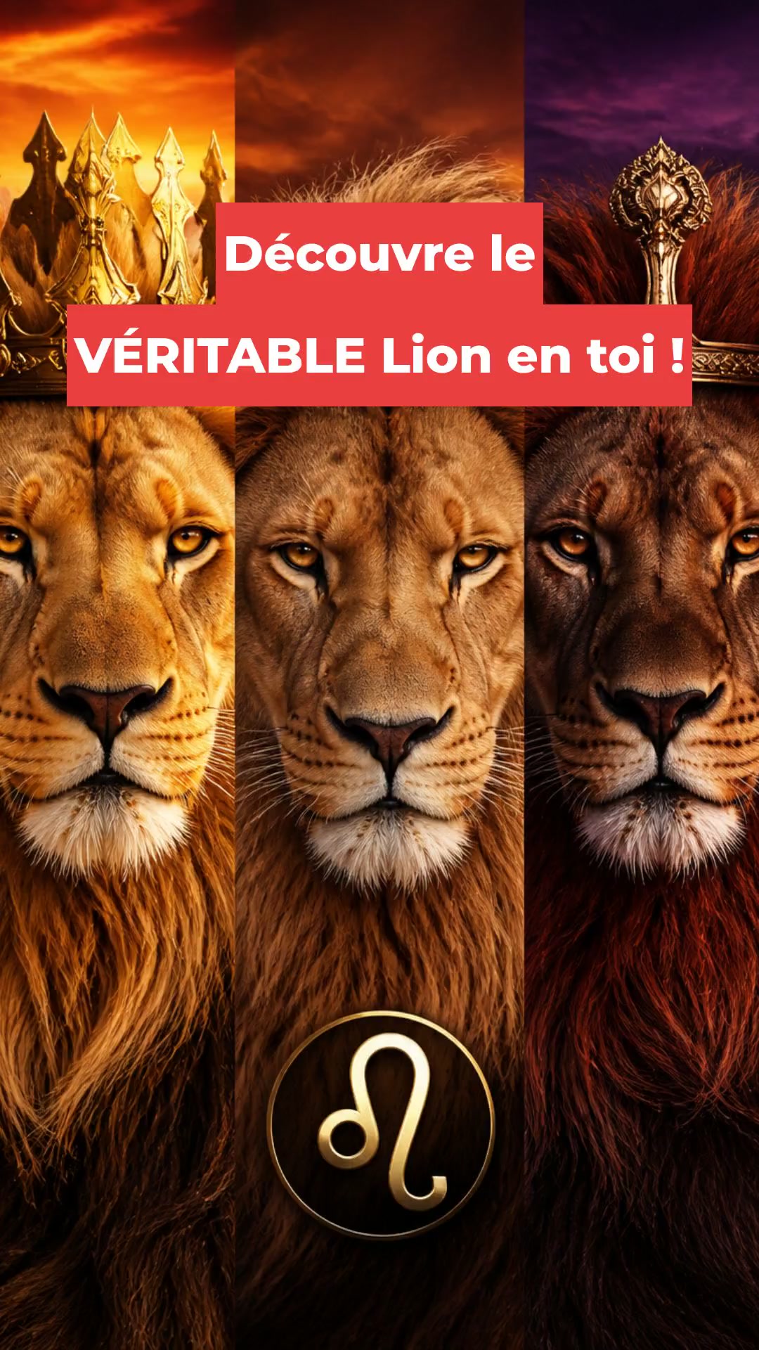 Découvre le VÉRITABLE Lion en toi !