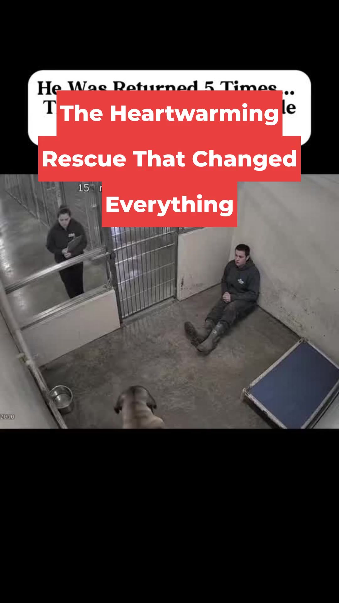 The Heartwarming Rescue That Changed Everything