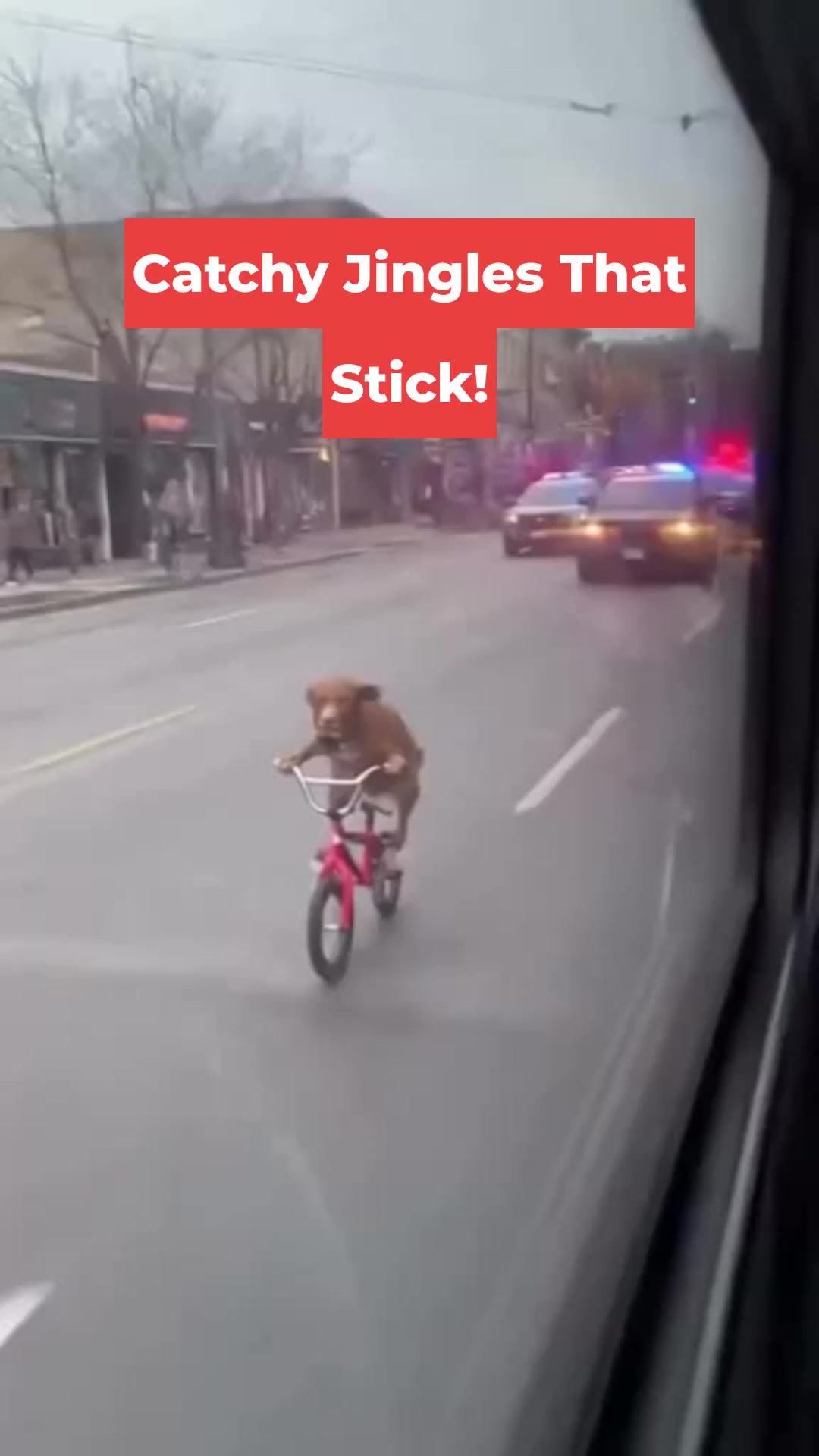 Catchy Jingles That Stick!
