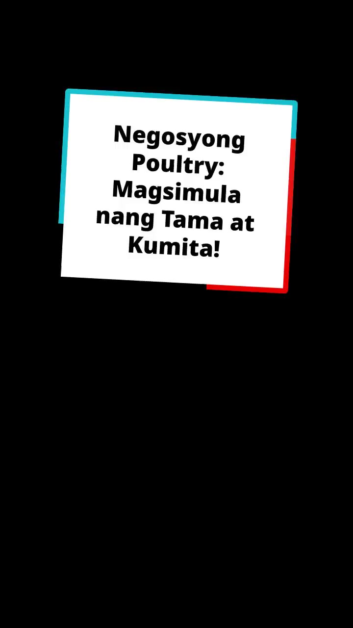 Negosyong Poultry: Magsimula nang Tama at Kumita!