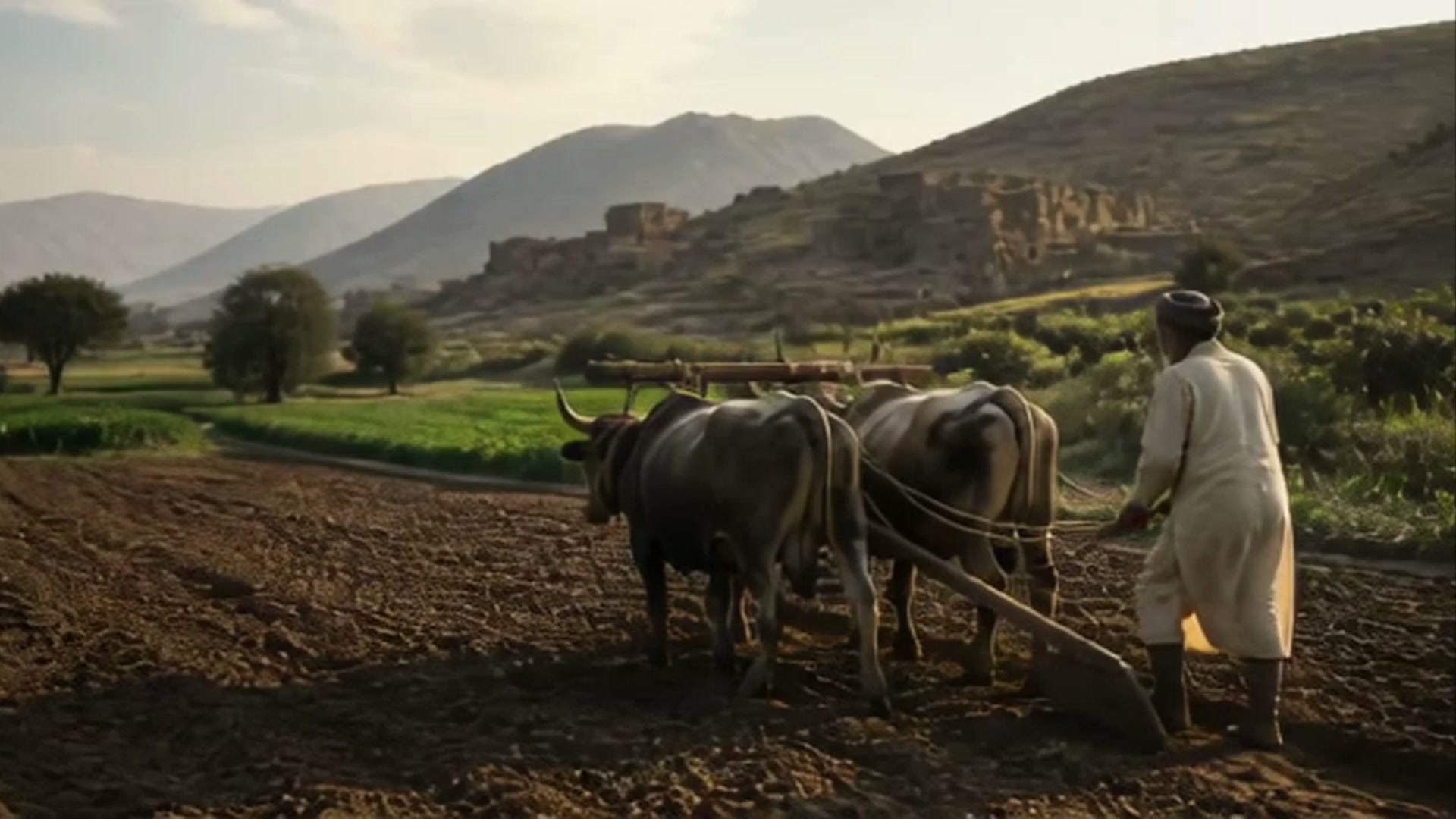 The Unsung Heroes of Agriculture: Farmers Who Changed the World