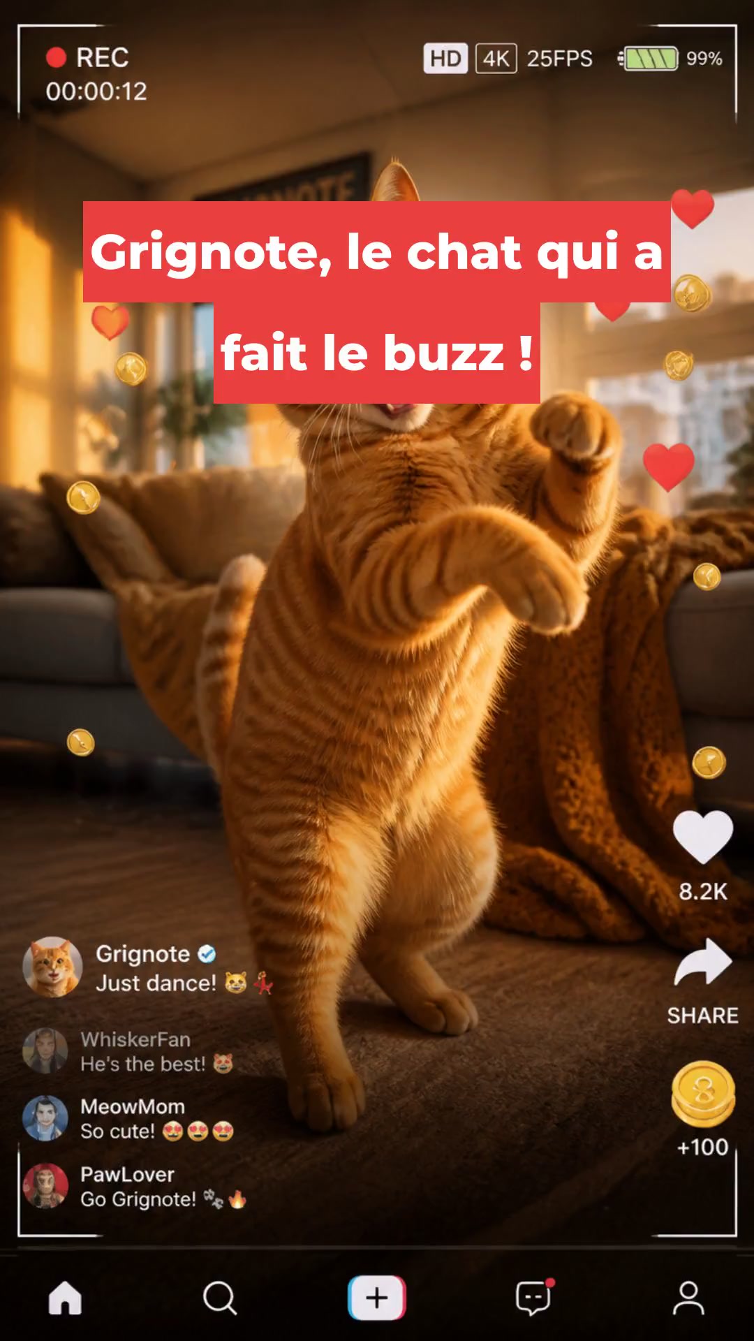 Grignote, le chat qui a fait le buzz !