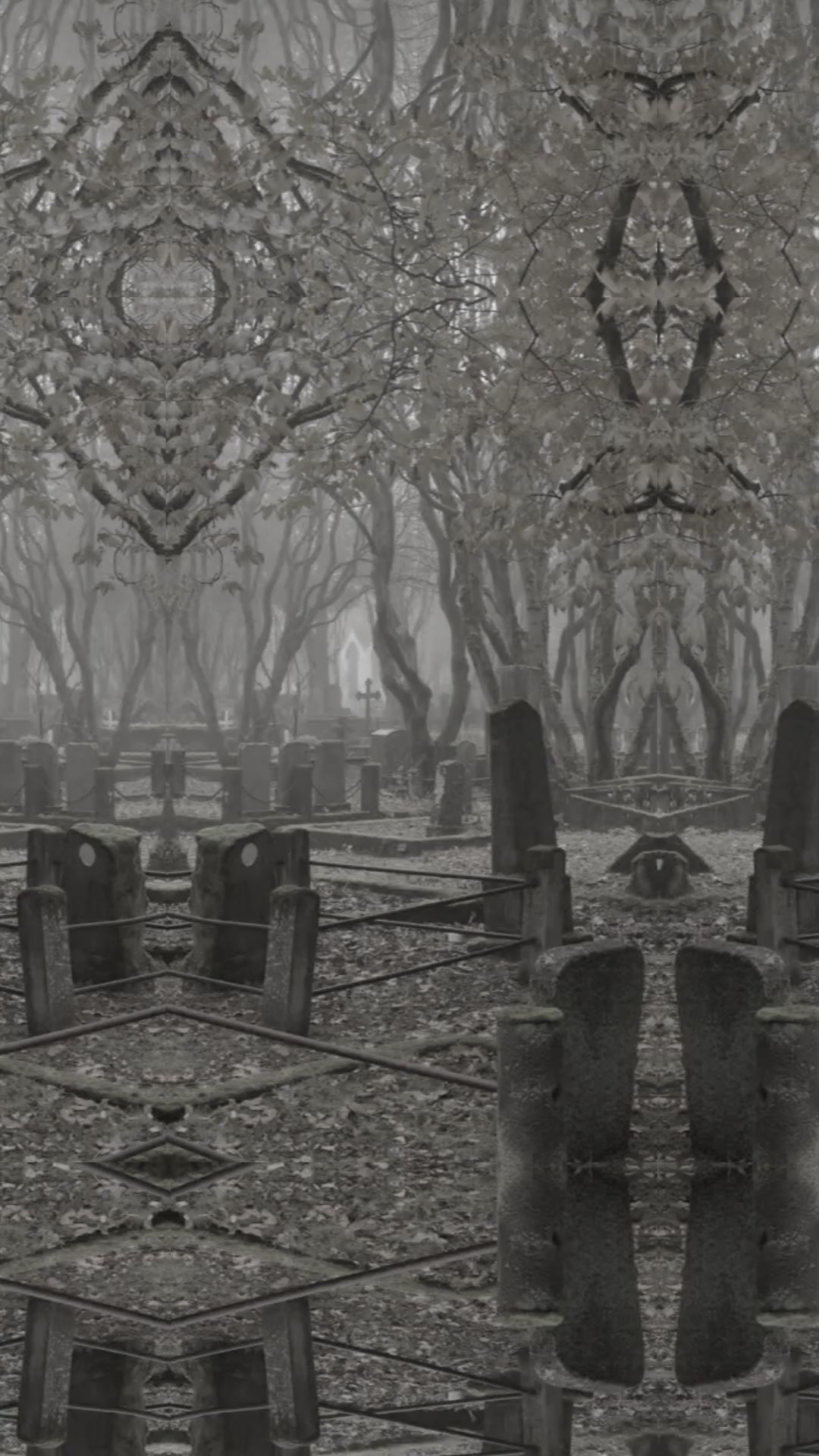 Ne laisse pas tes rêves au cimetière !