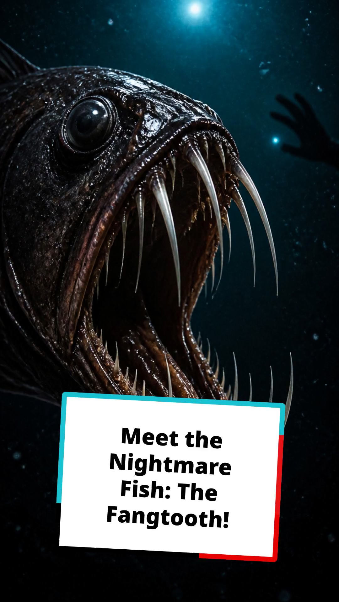 Meet the Nightmare Fish: The Fangtooth!