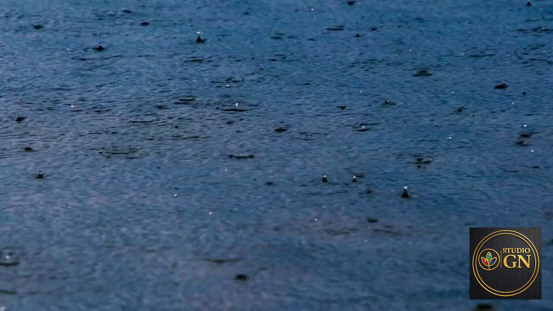 Après la pluie, la magie du beau temps !