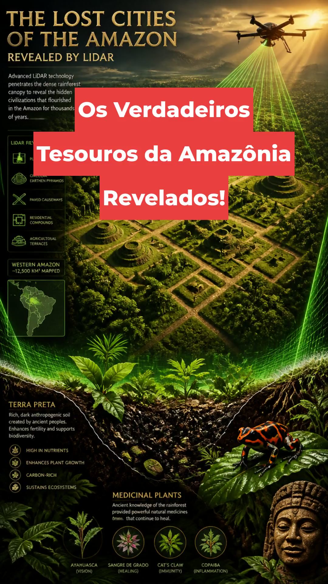 Os Verdadeiros Tesouros da Amazônia Revelados!