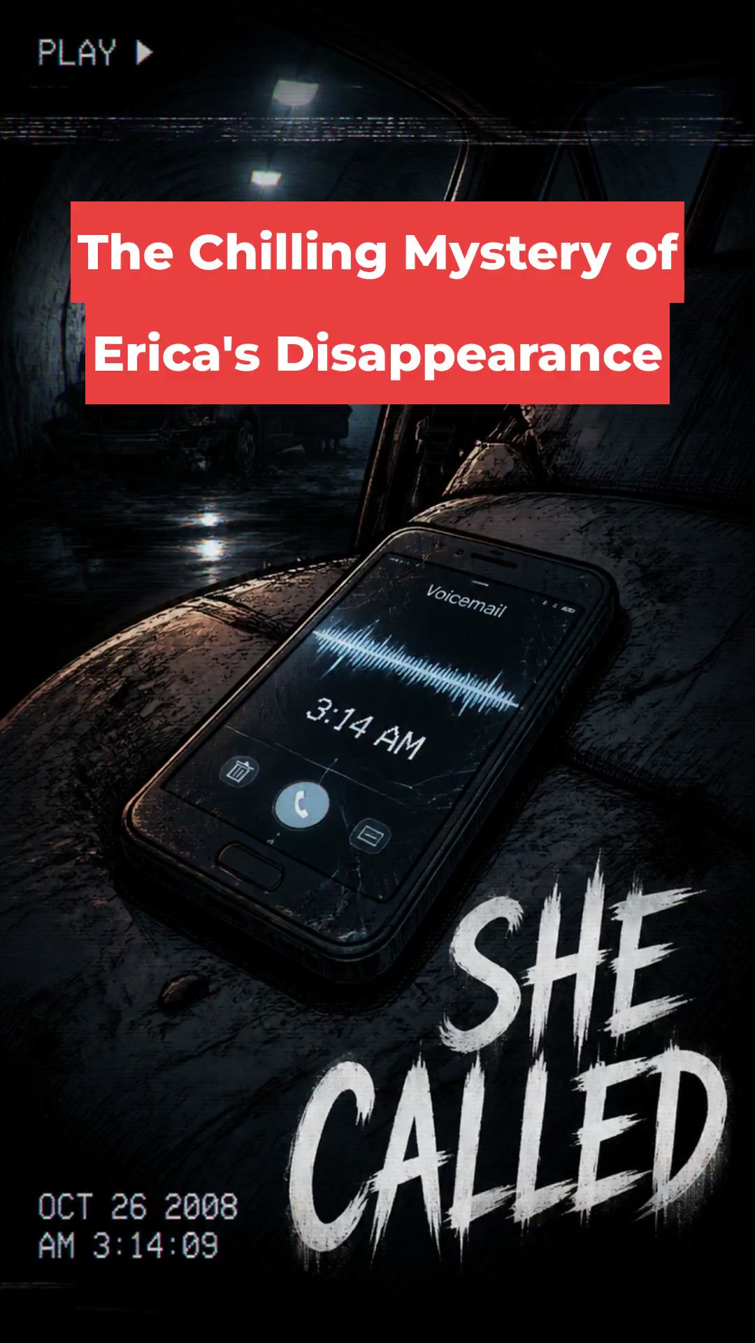 The Chilling Mystery of Erica's Disappearance