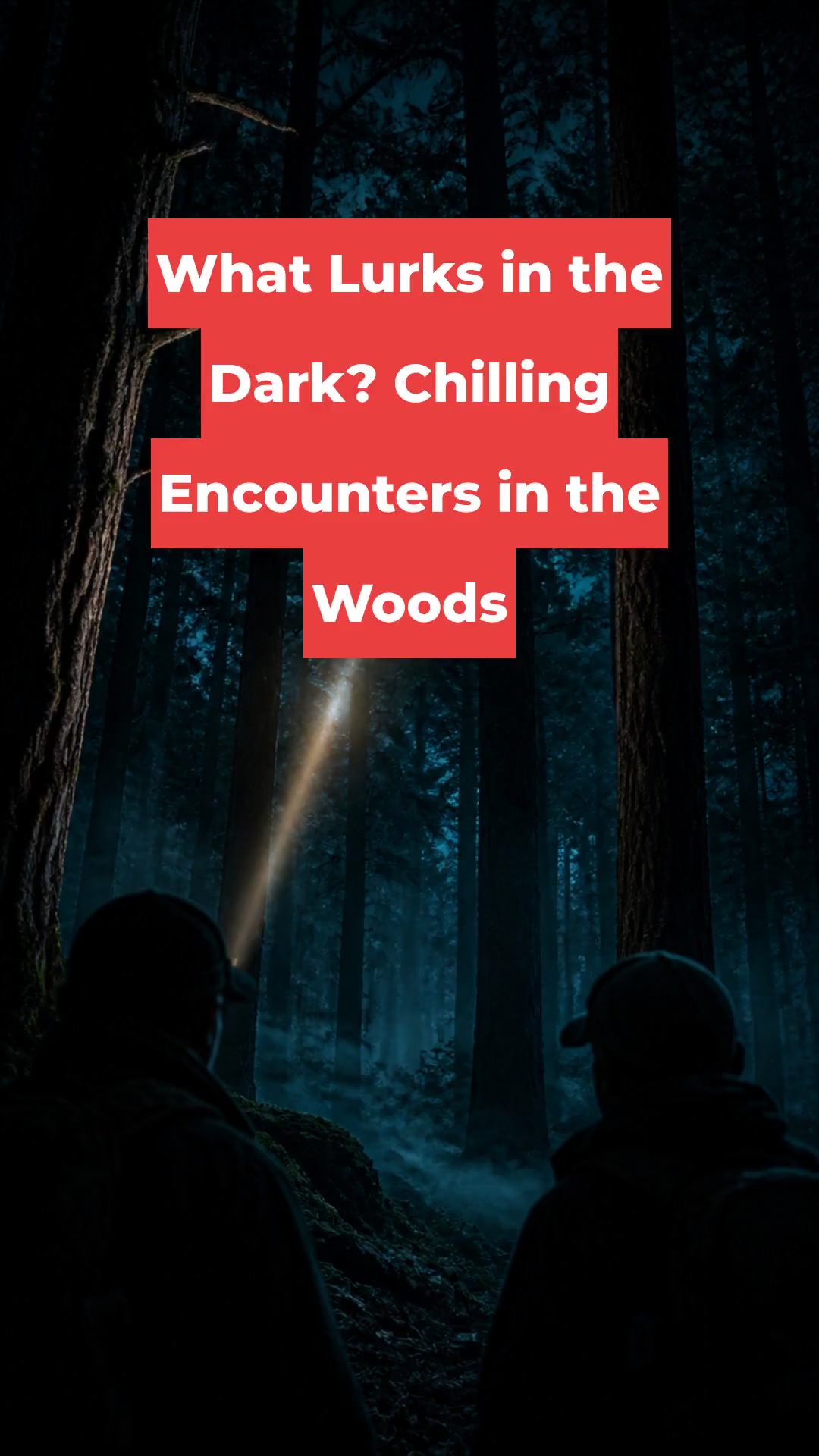 What Lurks in the Dark? Chilling Encounters in the Woods