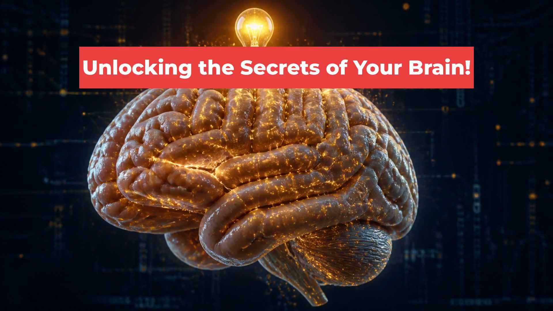 Unlocking the Secrets of Your Brain!