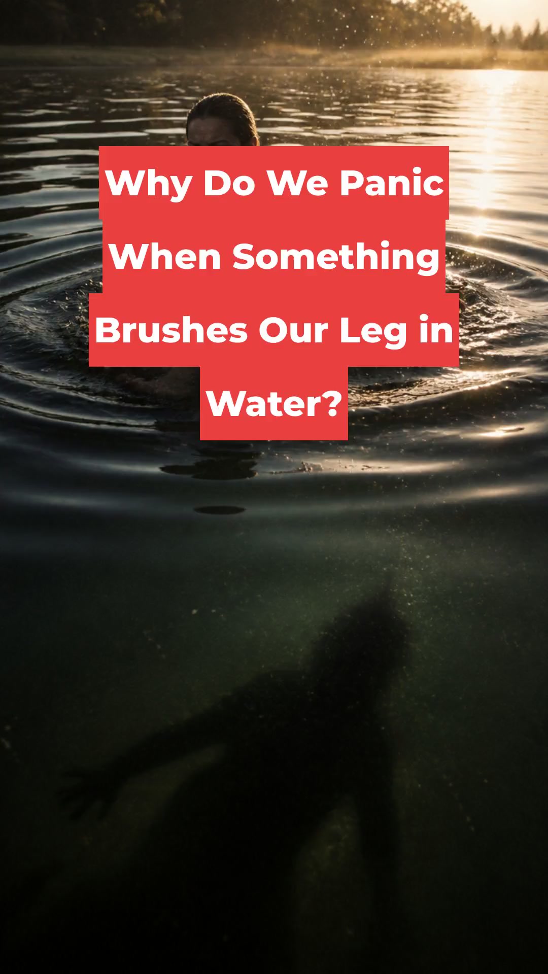 Why Do We Panic When Something Brushes Our Leg in Water?