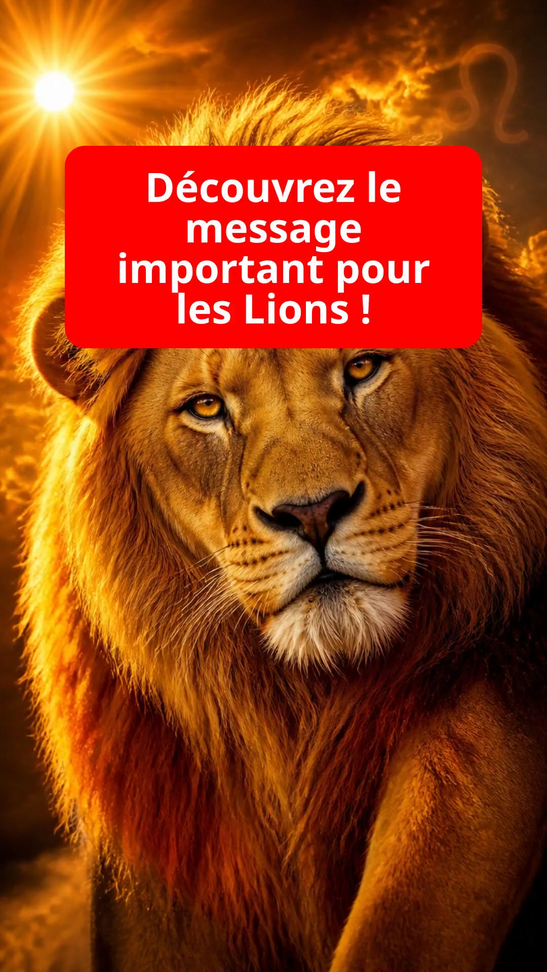 Découvrez le message important pour les Lions !