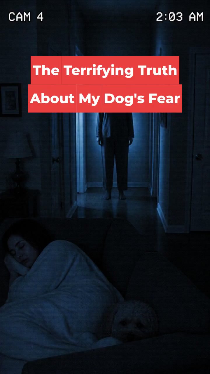 The Terrifying Truth About My Dog's Fear