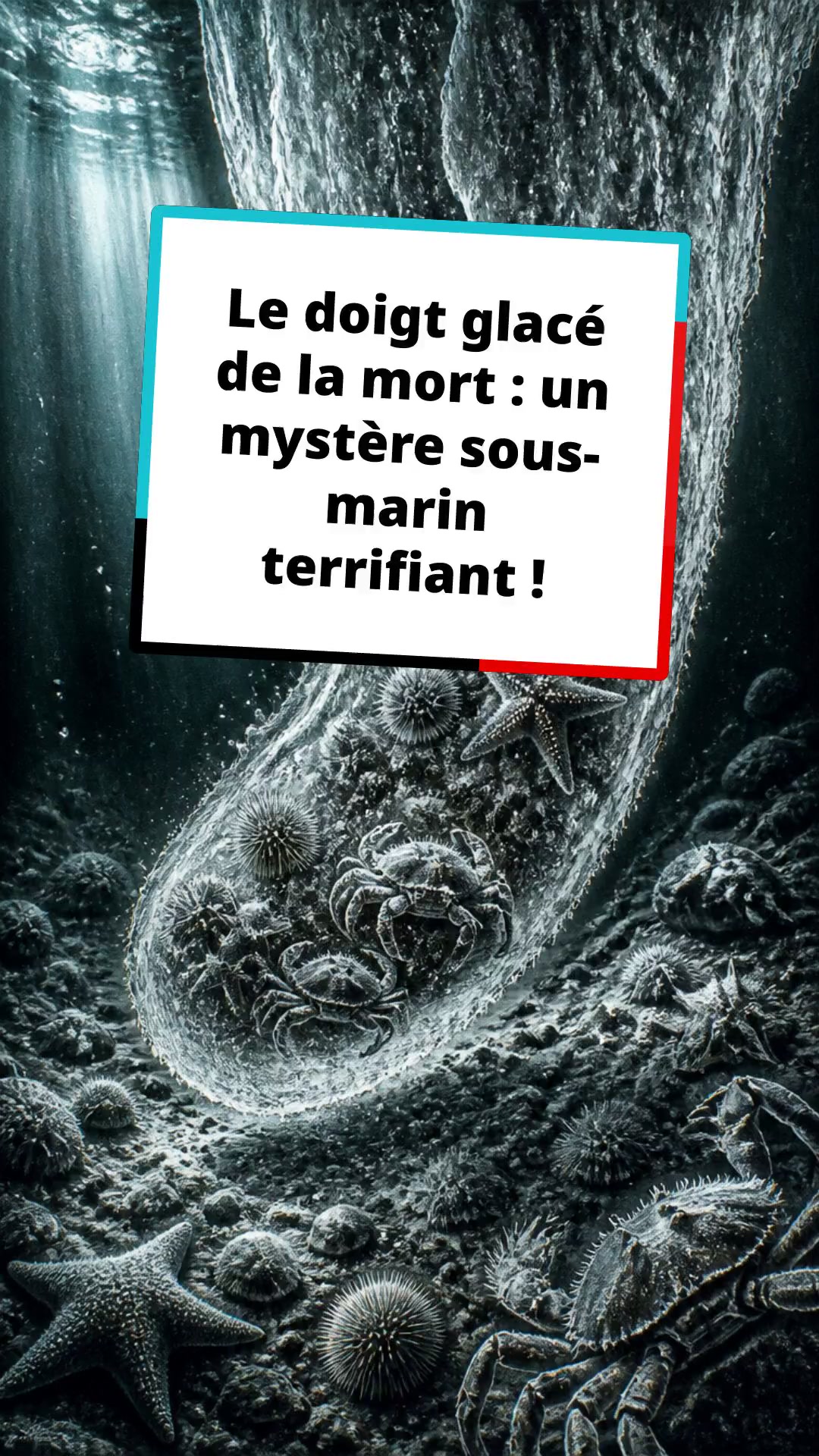 Le doigt glacé de la mort : un mystère sous-marin terrifiant !
