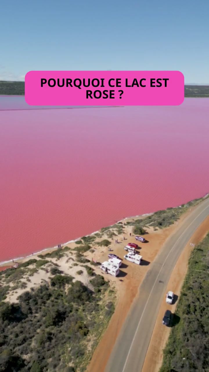 Le Mystère du Lac Rose d'Australie !