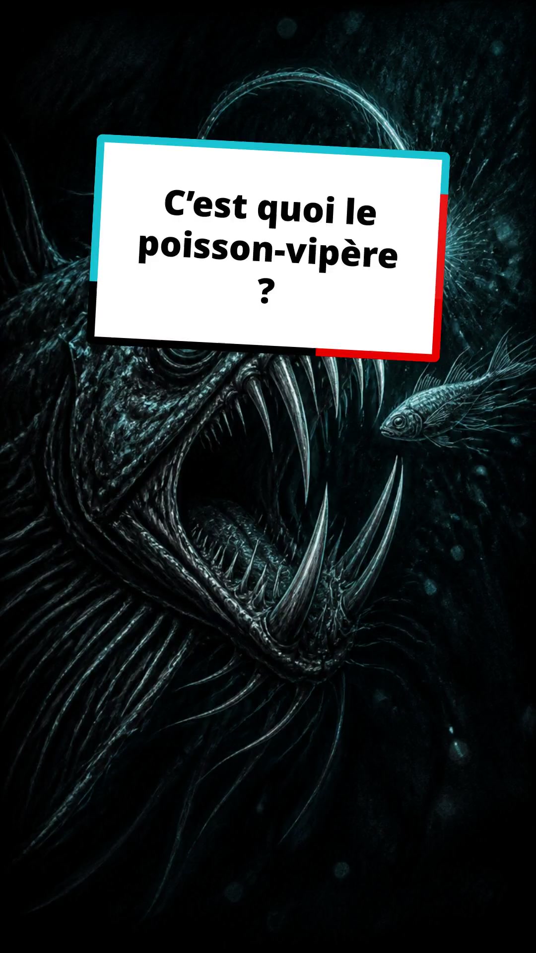 Découvrez le poisson-vipère, le monstre des abysses !