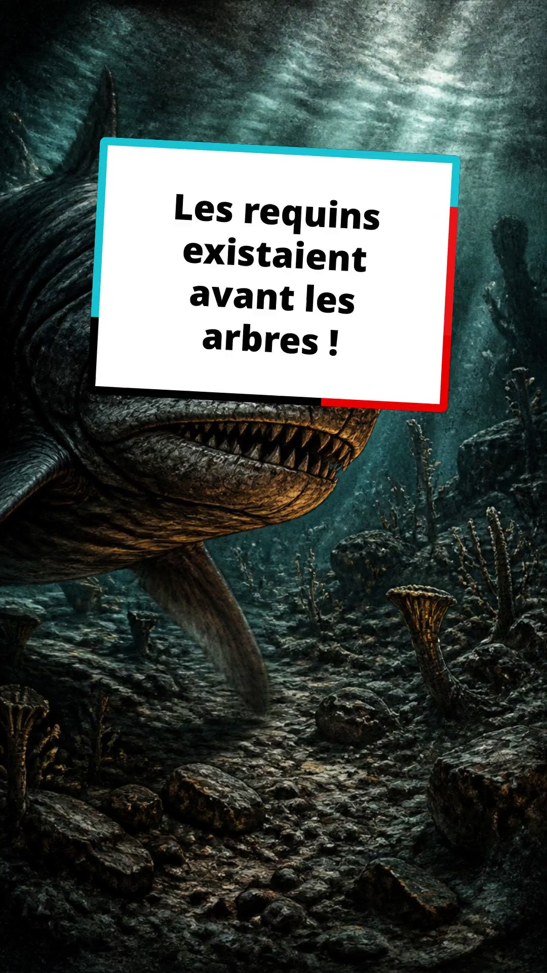 Les requins : Survivants d'une ère préhistorique !