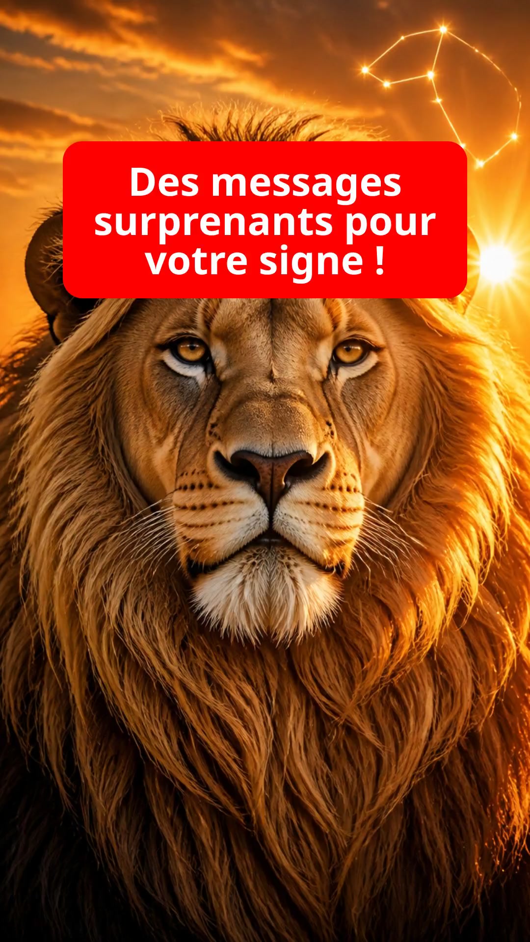 Des messages surprenants pour votre signe !