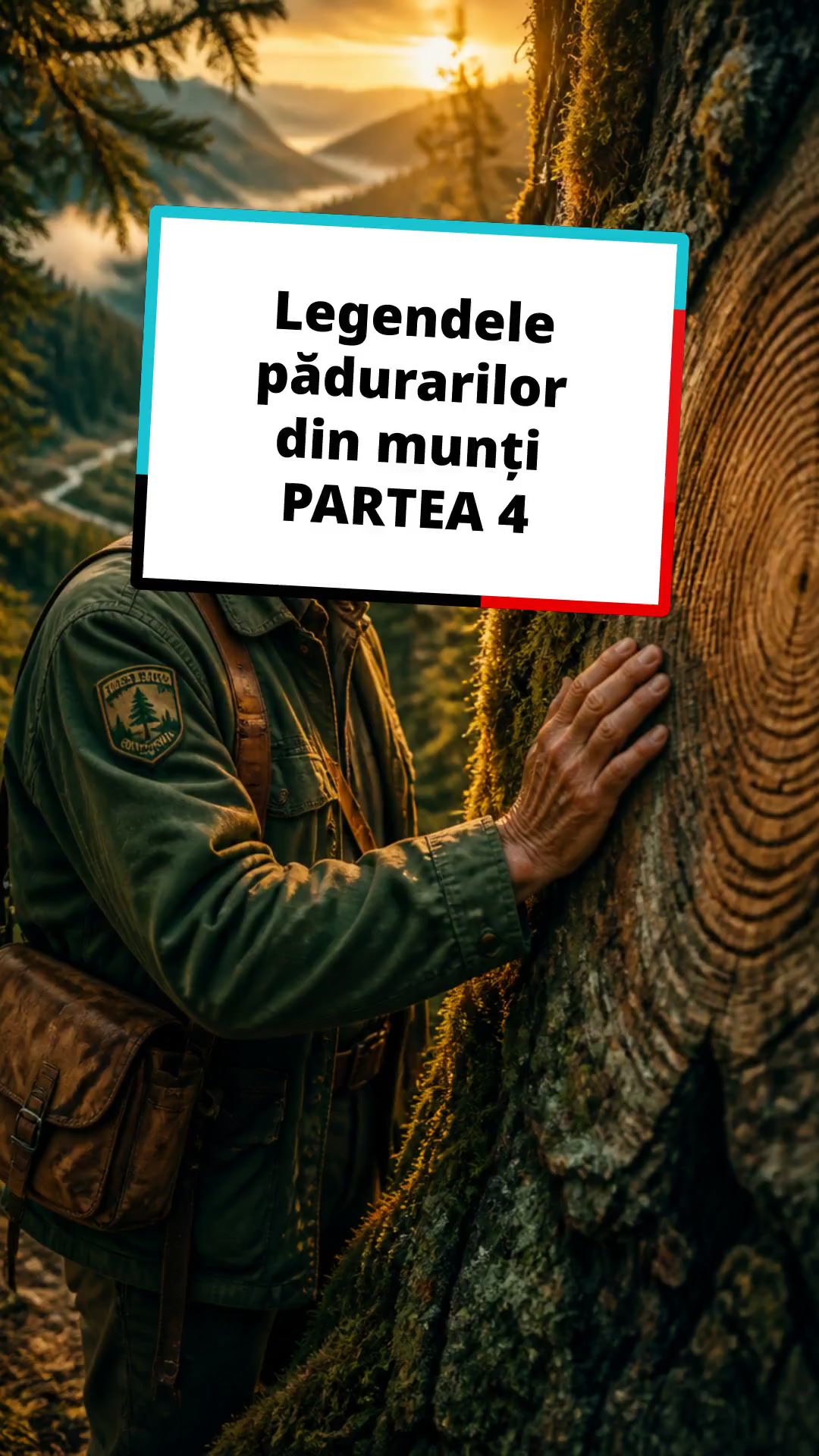 Pădurea care vorbește: Lecții de respect și ascultare