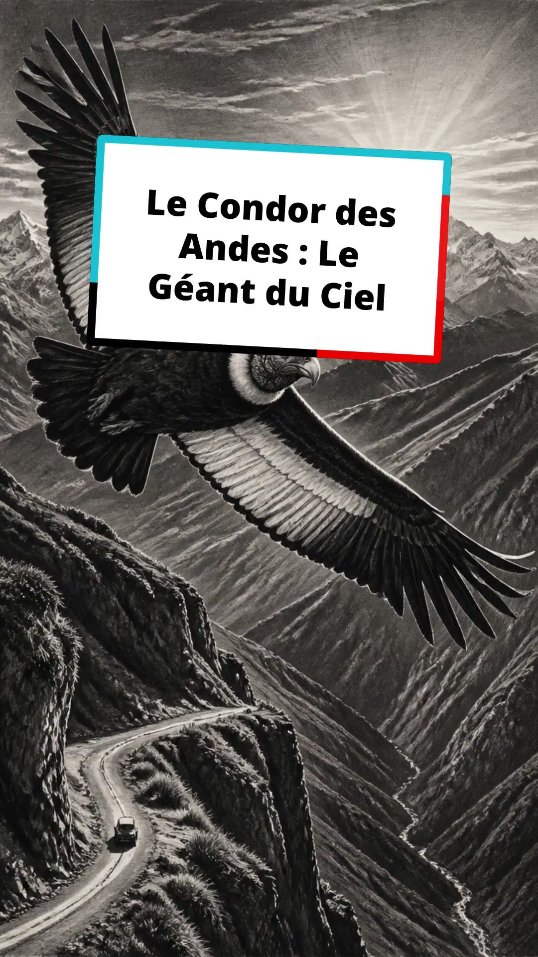 Le Condor des Andes : Le Géant du Ciel