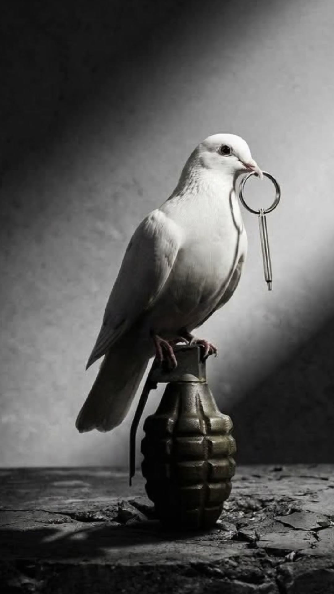 La ruse de la nature : clé de la paix selon Kant
