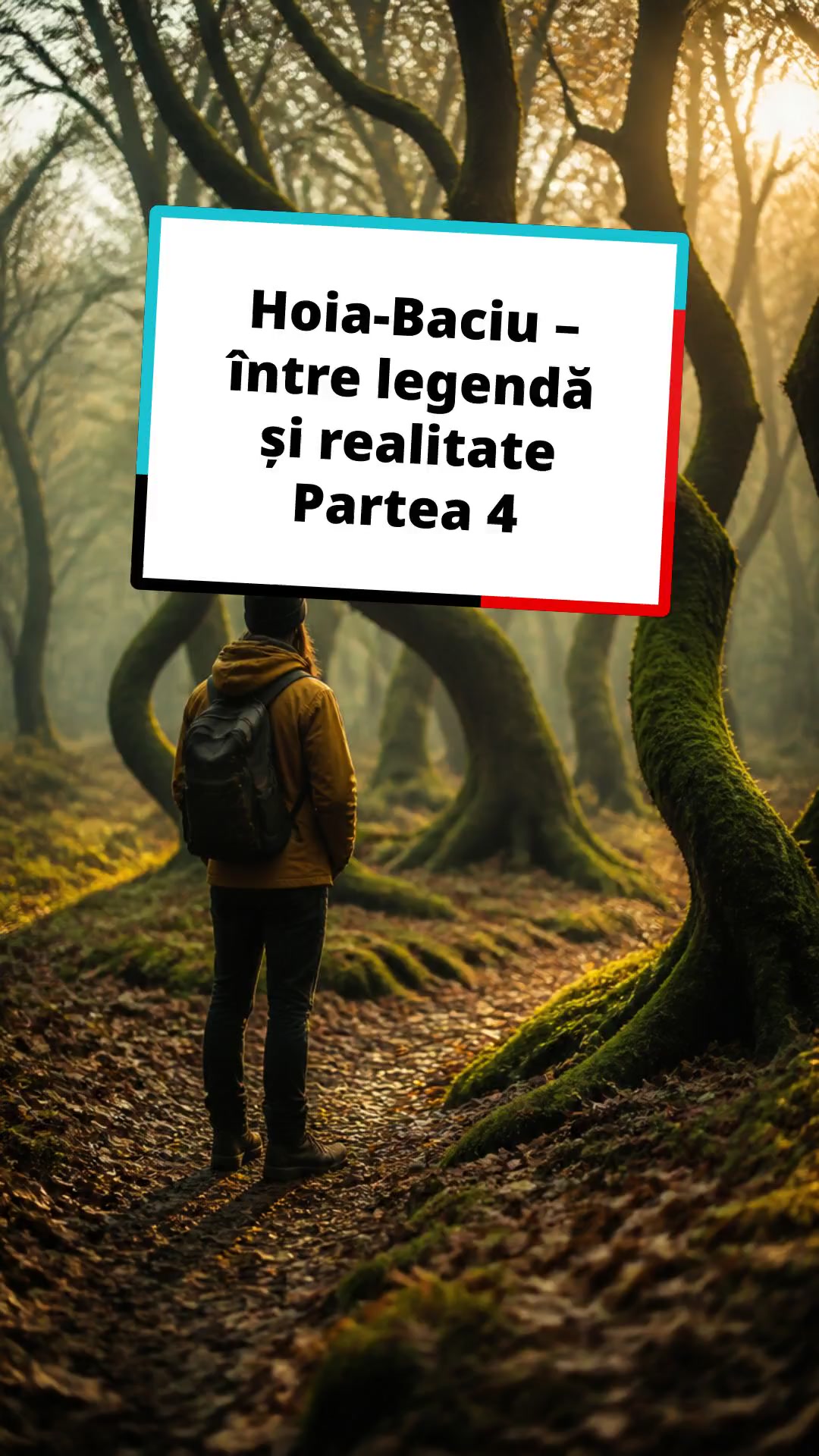 Descoperă misterele pădurii Hoia-Baciu!