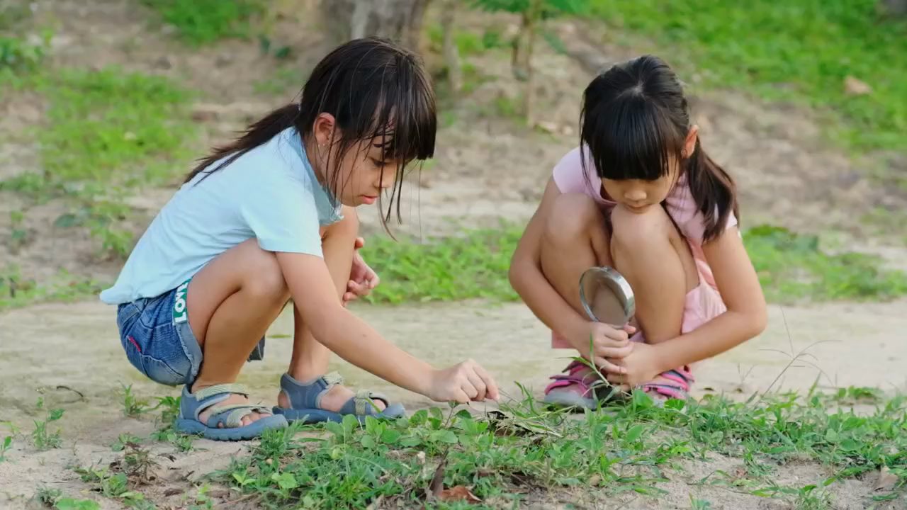 La Verdad Oculta de la Mariquita: Más que un Símbolo de Suerte