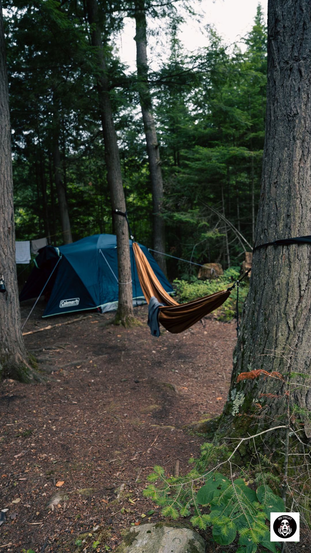 The Night I Almost Got Robbed While Camping!