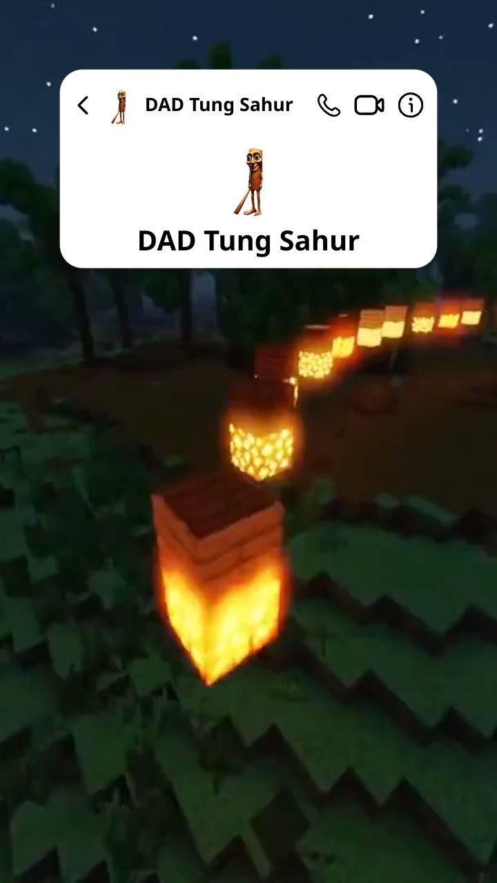 Projet Vidéo