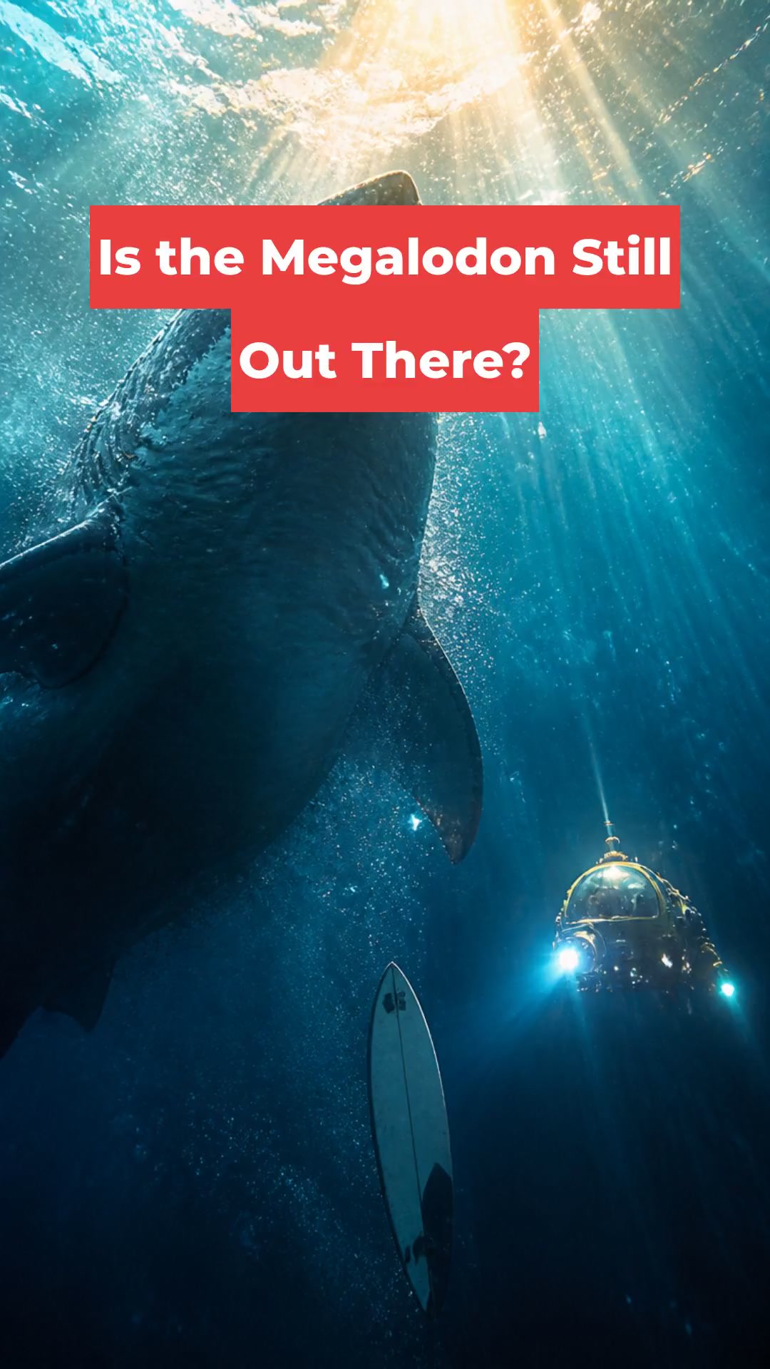 Is the Megalodon Still Out There?